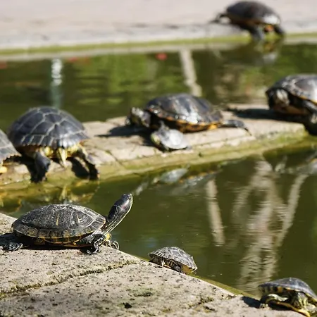 Luxury Camp At Union Lido Θέρετρο Cavallino-Treporti